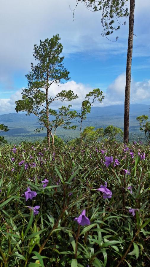 Romdoul Kirirom Resort By Ehm Kampong Speu Bagian luar foto