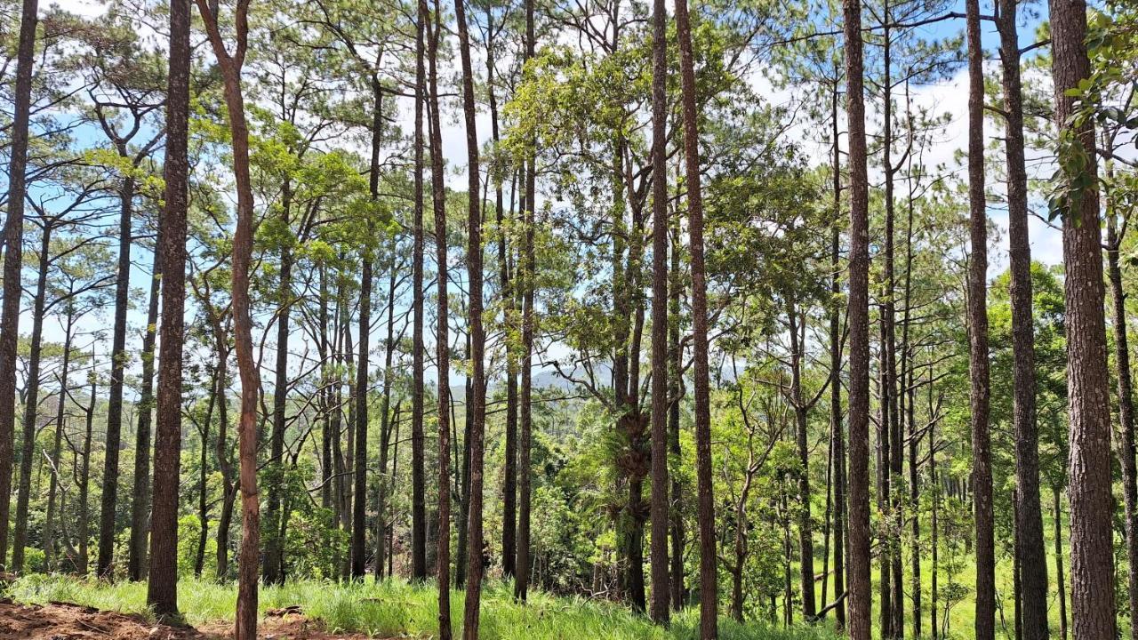 Romdoul Kirirom Resort By Ehm Kampong Speu Bagian luar foto