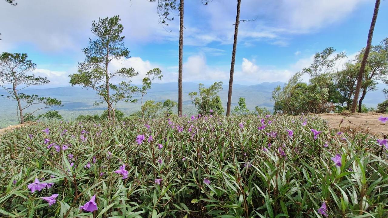 Romdoul Kirirom Resort By Ehm Kampong Speu Bagian luar foto